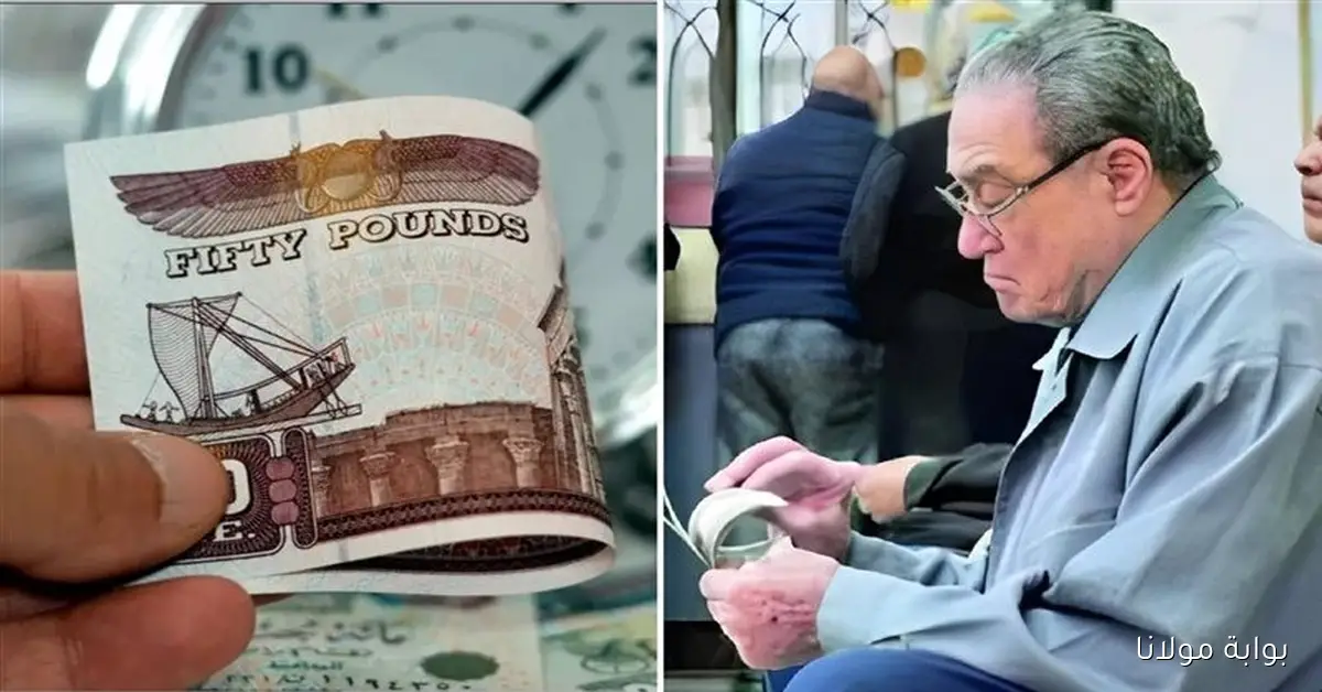 هام لكبار السن .. موعد صرف معاشات شهر أكتوبر 2025 بقرار من هيئة التأمينات