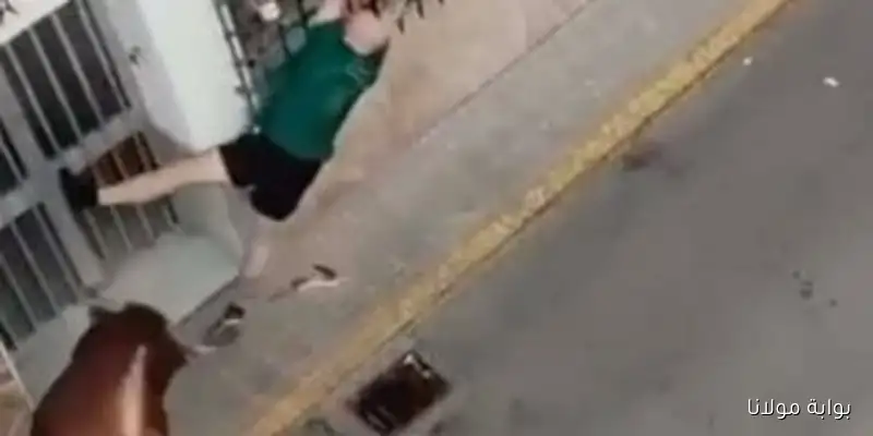 مقتل شخص خلال مهرجان للثيران في إسبانيا إثر هجوم من ثور هائج، فيديو وصور