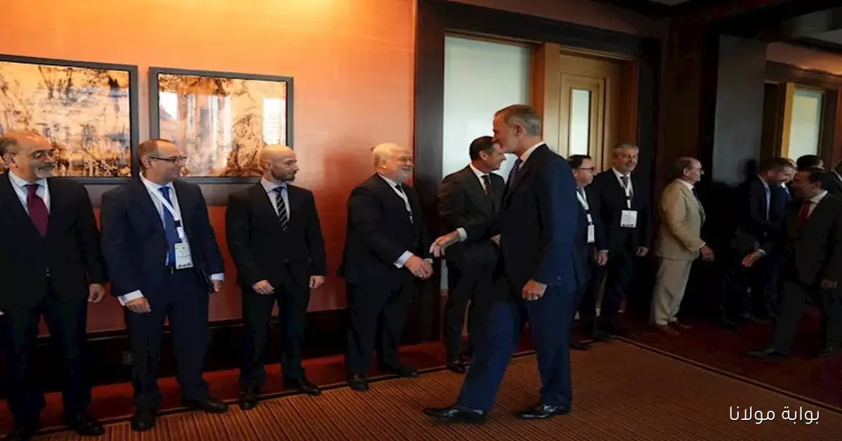 ملك إسبانيا يجتمع مع رجال أعمال من مصر وإسبانيا لتعزيز التعاون الاقتصادي