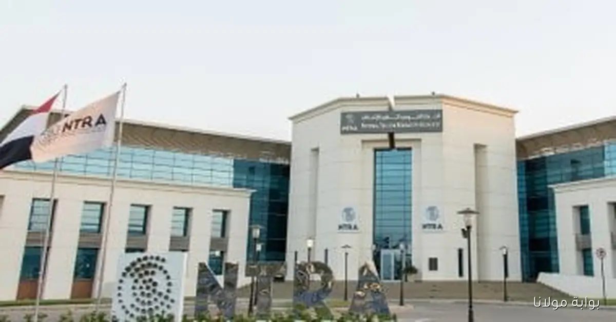 منافذ بيع خدمات الاتصالات تستعد لتعديل أوقات العمل مع دخول التوقيت الشتوي