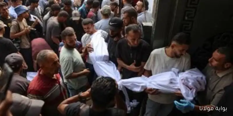 منظمة أنقذوا الأطفال: الاحتلال الإسرائيلي يتسبب في مقتل طفل كل ساعة في غزة