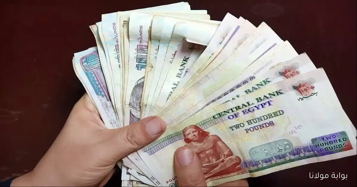 موعد صرف معاشات شهر أكتوبر 2025 وخطوات الاستعلام عبر موقع هيئة التأمينات الاجتماعية nosi.gov.eg