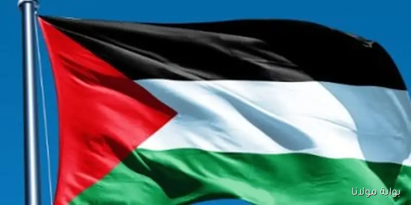 نقابة الصحفيين الفلسطينيين تدعو المجتمع الدولي لتعزيز جهود حل الدولتين