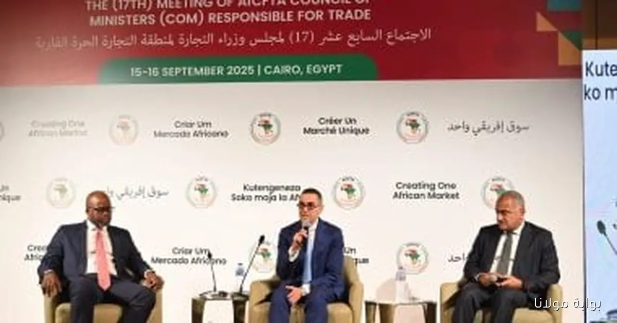نقاشات مثمرة للقطاع الخاص خلال الخلوة الوزارية الرابعة للتجارة الأفريقية