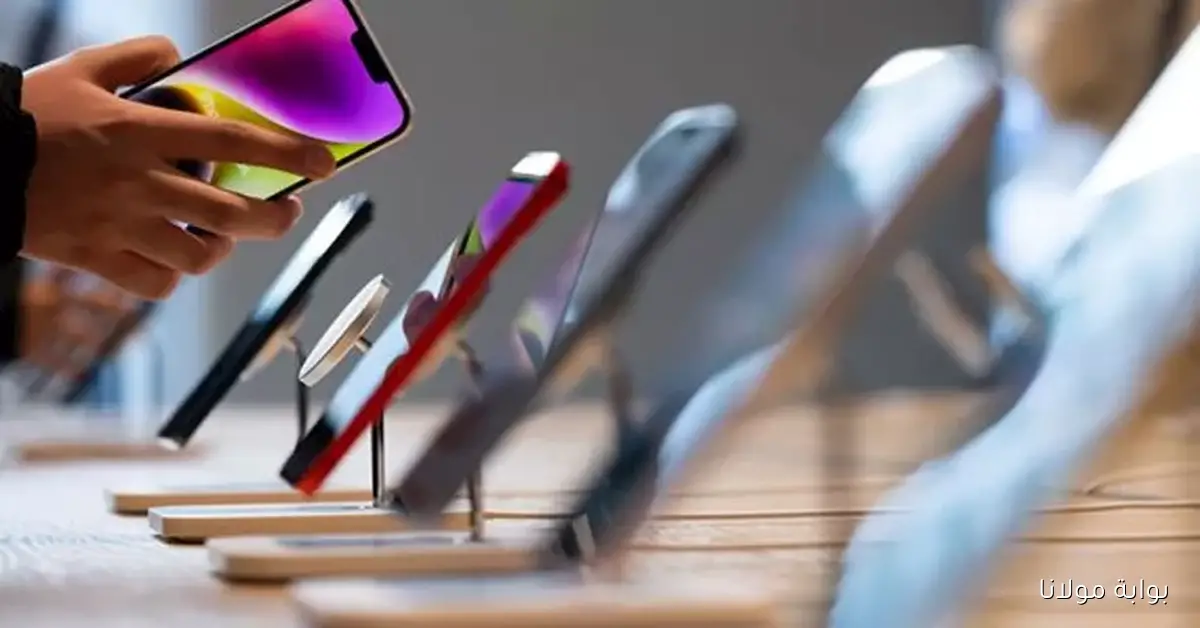 هل تم إعفاء المصريين من الرسوم الجمركية على الهواتف المستوردة؟ إليك التفاصيل