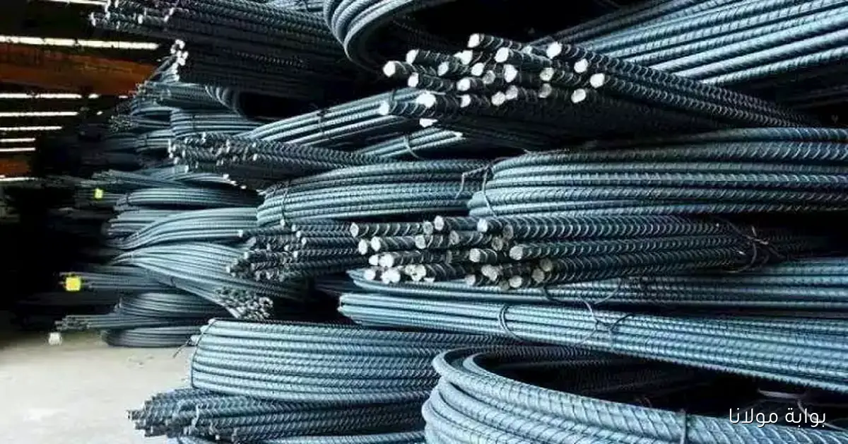 هل ستؤثر الرسوم الجديدة بنسبة 16.2% على أسعار الحديد في السوق؟