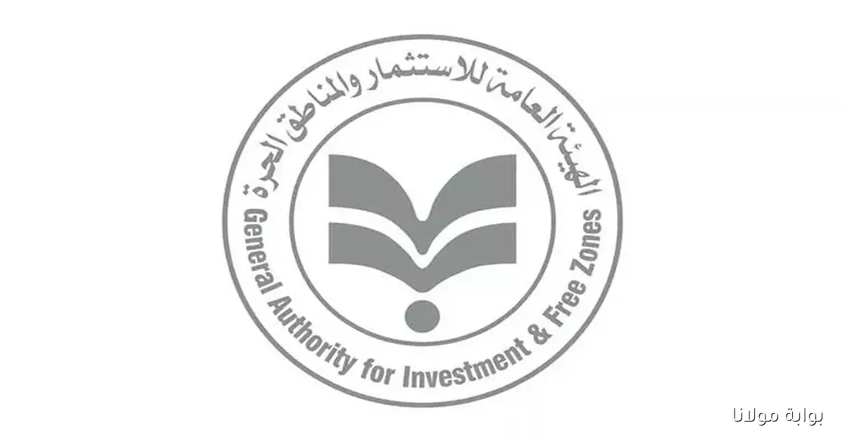 هيئة الاستثمار تكشف عن زيادة بنسبة 20% في عدد الشركات الجديدة بقطاع التشييد ليصل الإجمالي إلى 2856 شركة