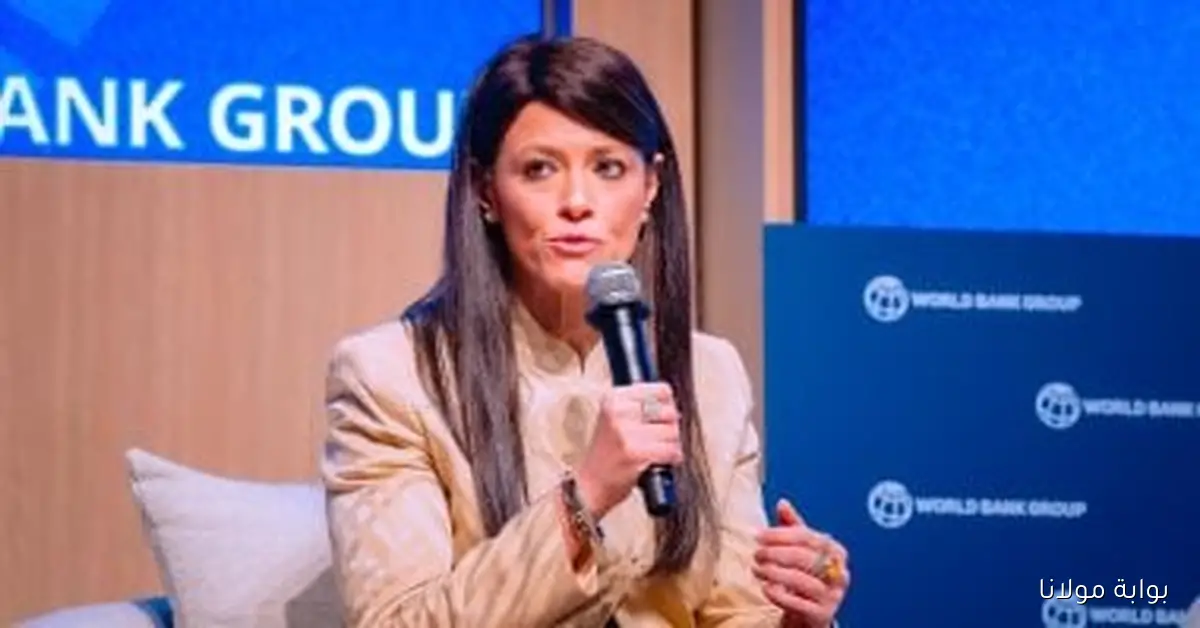 وزارة التخطيط تطلق منصة التدريب الرقمي الجديدة بالتعاون مع النيابة الإدارية لتعزيز المهارات والتطوير المهني