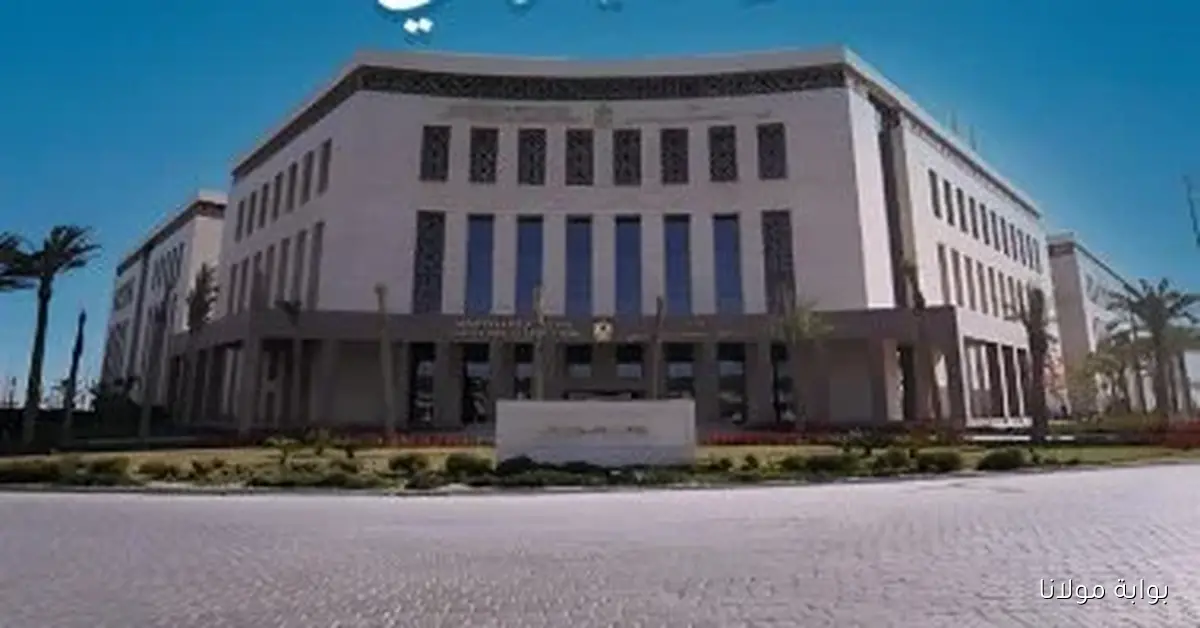 وزارة التعليم تدعو جميع طلاب الثانوي لاكتشاف منصة تدريس البرمجة الجديدة