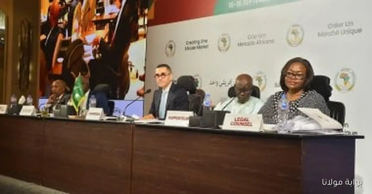 وزراء التجارة الأفارقة يتفقون على قواعد جديدة للمنسوجات والسيارات لتعزيز التعاون الاقتصادي