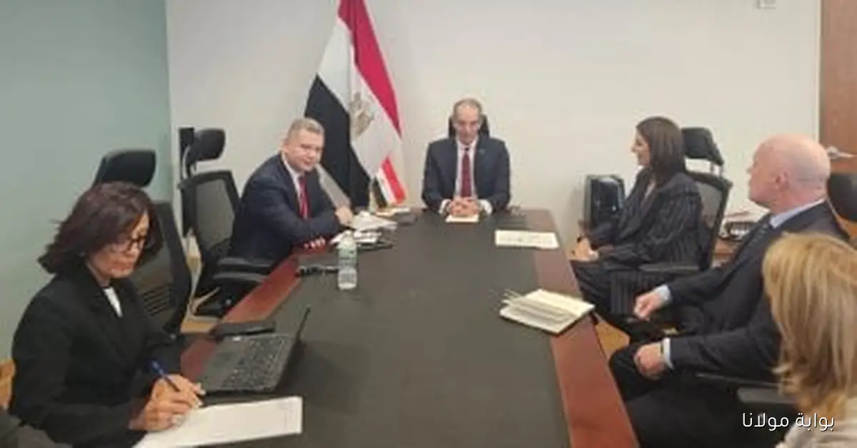 وزير الاتصالات يتفاوض مع قادة الشركات العالمية لتعزيز الاستثمارات في مصر