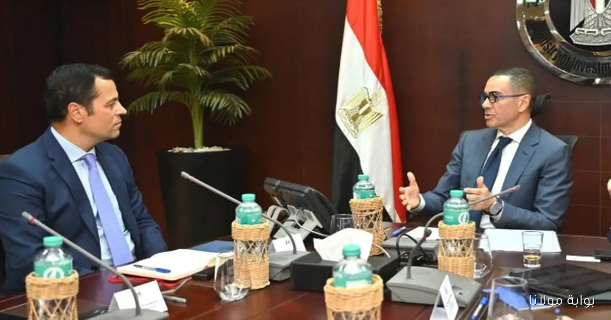 وزير الاستثمار يؤكد أهمية تعزيز قطاع التجارة لزيادة تنافسية الاقتصاد المصري على الساحة العالمية