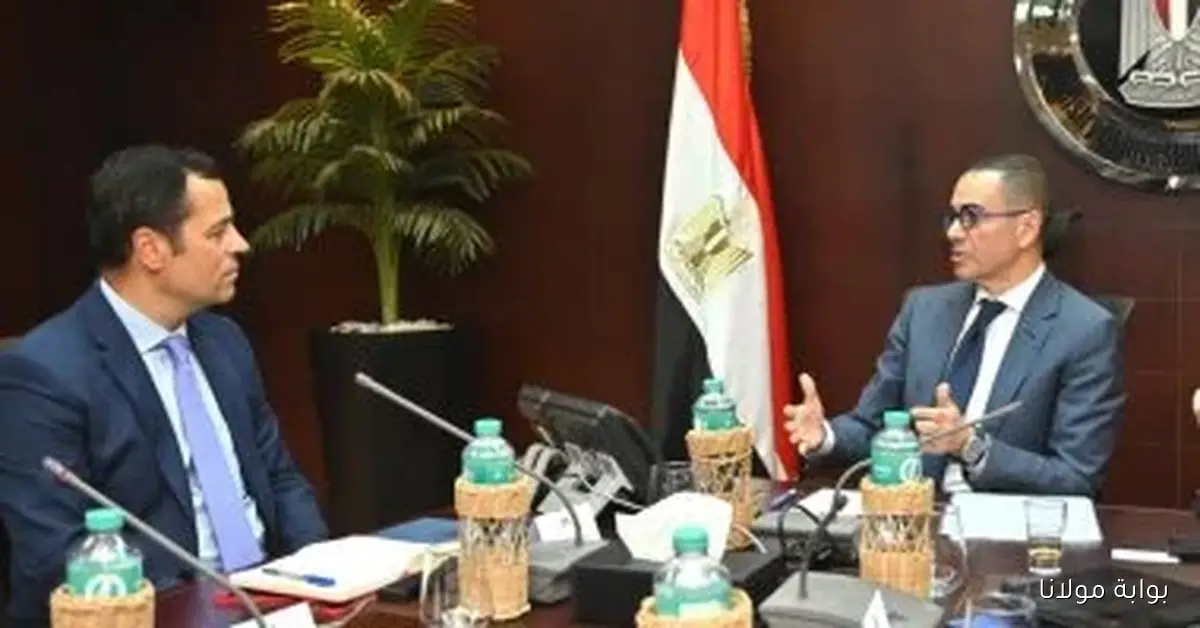 وزير الاستثمار يشارك وفد صندوق النقد الدولي في مناقشة خطوات تعزيز بيئة الاستثمار