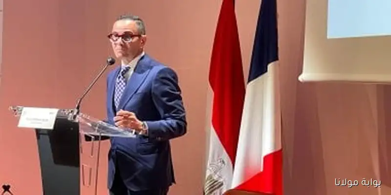 وزير الاستثمار يكشف عن زيادة الاستثمارات الأجنبية المباشرة إلى 11 مليار دولار