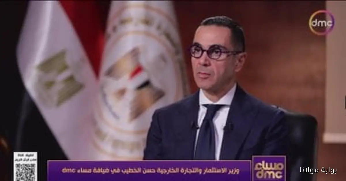 وزير الاستثمار يكشف عن نمو الاستثمارات الأجنبية المباشرة بنسبة 20% هذا العام