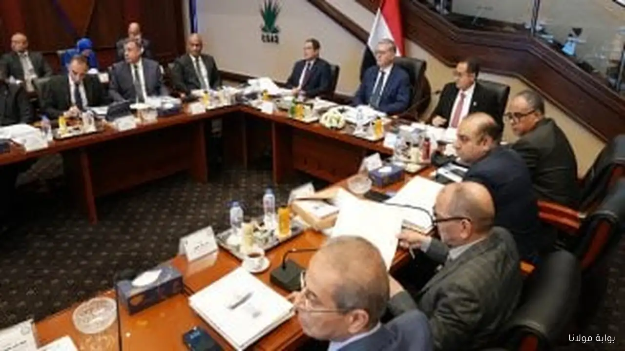 وزير البترول: نجاح القطاع في توفير 3.5 مليار دولار من فاتورة الاستيراد