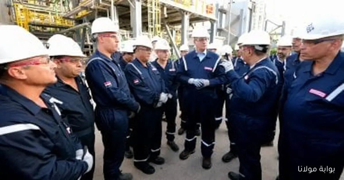 وزير البترول يجري جولة تفقدية لمشروعات تطوير وزيادة الإنتاج وترشيد الطاقة في العامرية