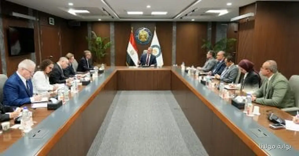 وزير البترول يناقش فرص التعاون في مشاريع الطاقة مع وفد مؤسسة تمويل التنمية الأمريكية