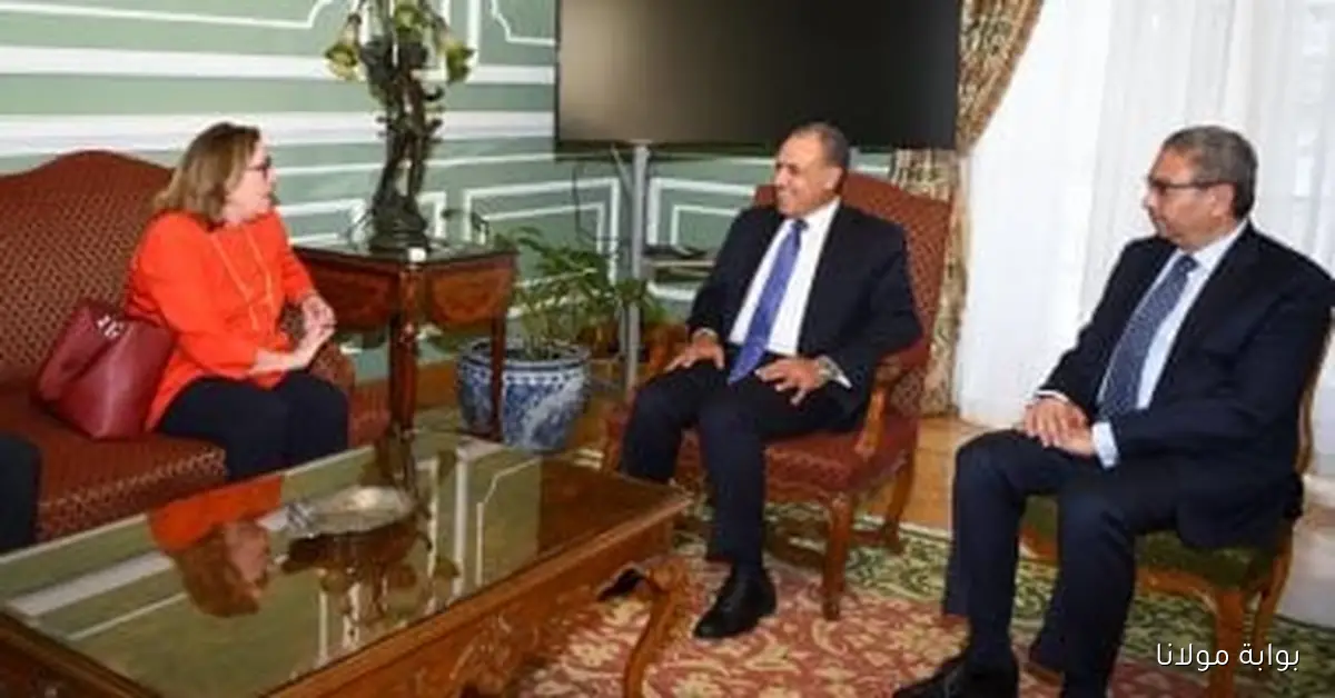 وزير الخارجية يلتقي مدير عام القوة متعددة الجنسيات في سيناء