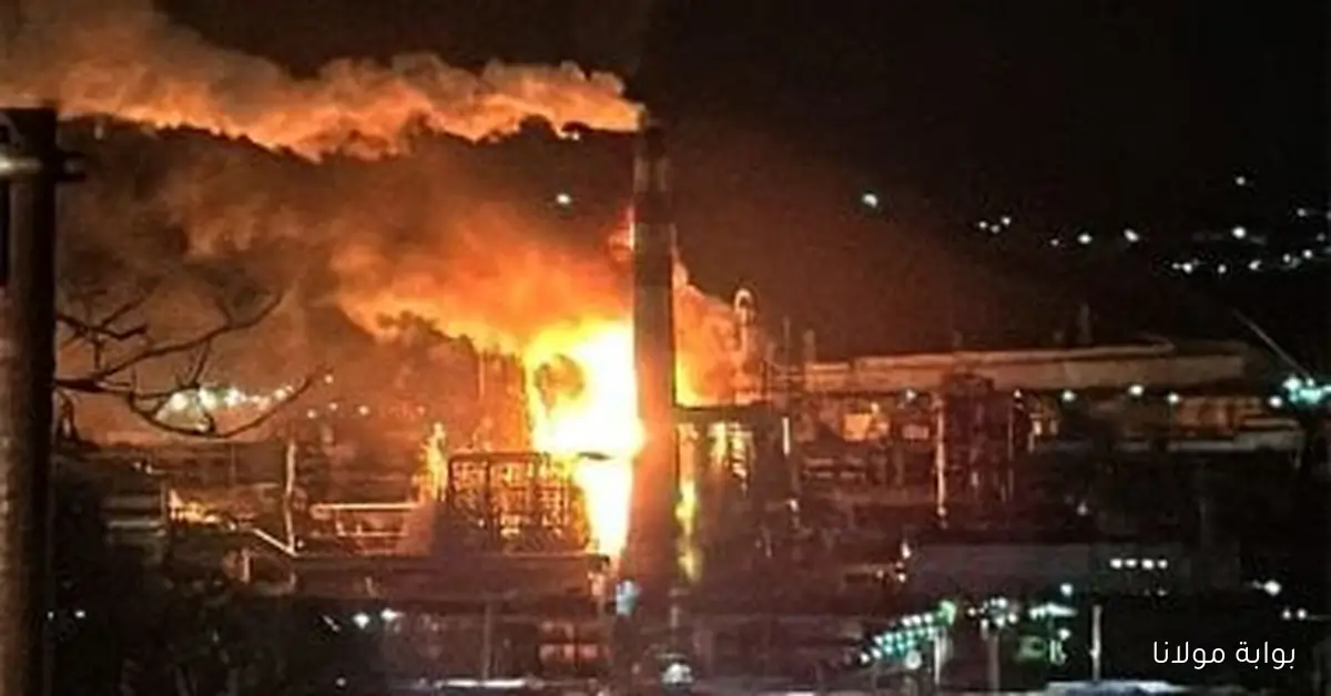 وزير الدفاع الإيطالي يؤكد: نحن غير مستعدين لأي هجوم من روسيا أو أي دولة أخرى