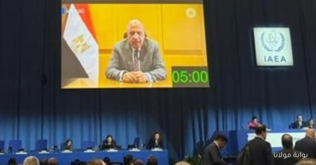 وزير الكهرباء يؤكد التزام البرنامج النووي المصري بأعلى معايير الأمان والسلامة