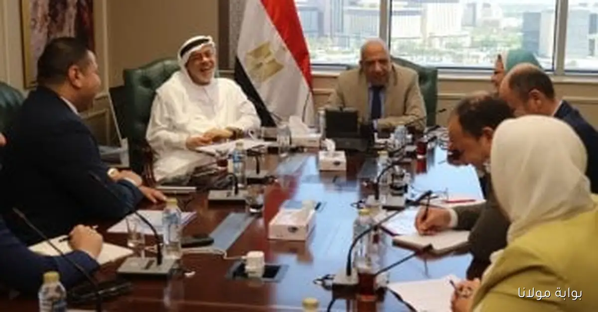 وزير الكهرباء يتعاون مع “AMEA POWER” الإماراتية لتعزيز مشاريع الطاقة المتجددة