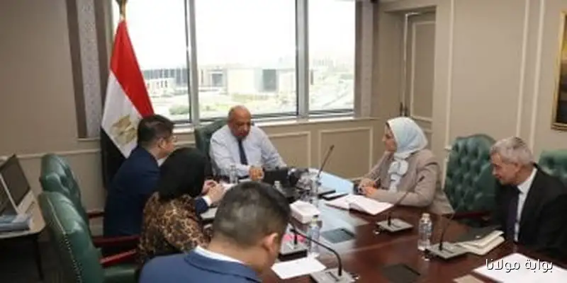 وزير الكهرباء يناقش سبل التعاون في مجالات الطاقة المتجددة مع شركة SunRev Solar الصينية