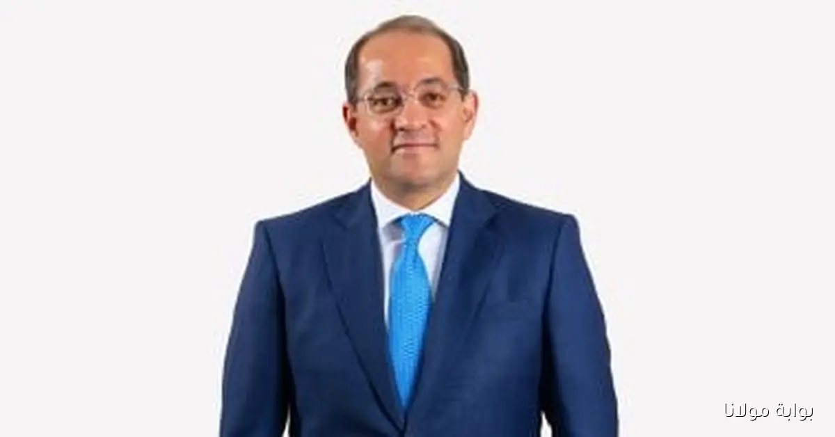 وزير المالية يشيد بنجاح القطاع الخاص في تحقيق النمو والتكيف مع الإصلاحات