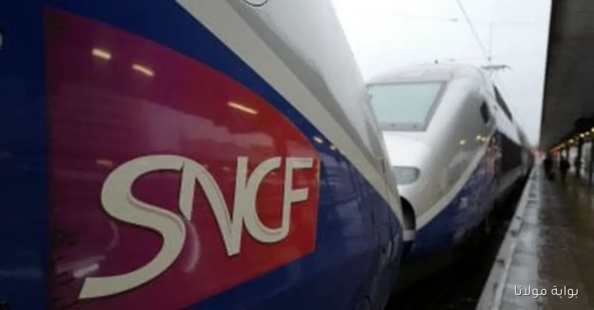 وزير النقل الفرنسي: توقعات بإضرابات في حركة القطارات والمترو يوم الخميس المقبل