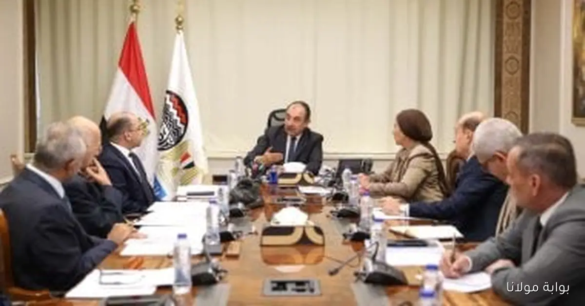 وزير قطاع الأعمال يتابع تطورات مشروعات شركة الإسكندرية للتنمية العمرانية