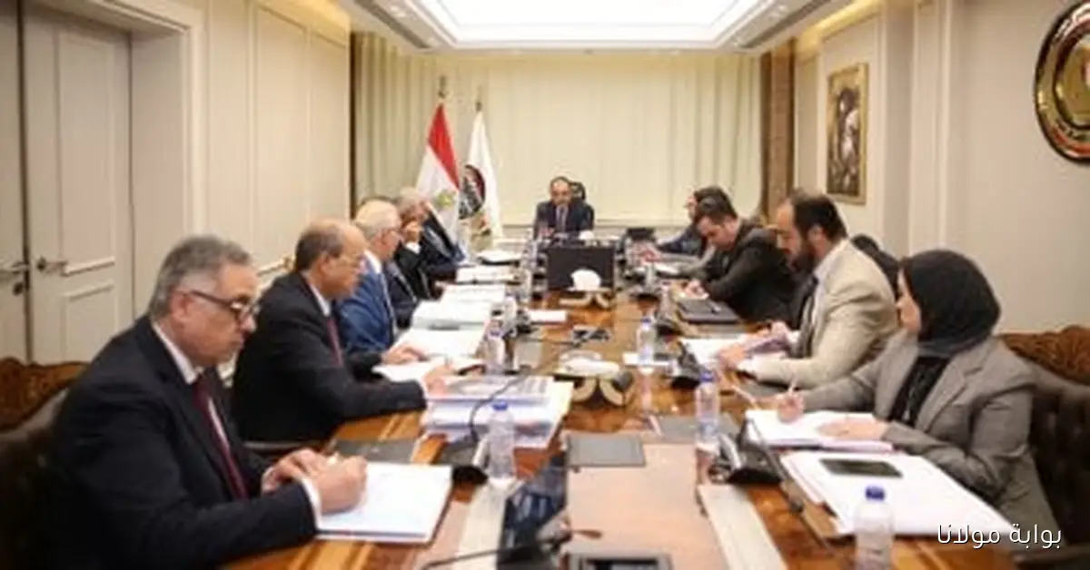 وزير قطاع الأعمال يجتمع مع الرؤساء التنفيذيين للشركات القابضة لمناقشة التقدم والمستجدات