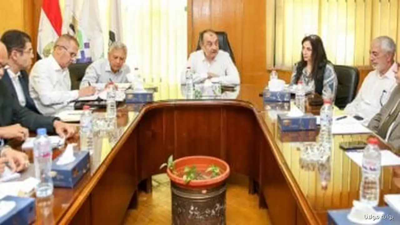 وزير قطاع الأعمال يعلن تحقيق الشركة القابضة للأدوية أرباحاً تصل إلى 3 مليارات جنيه خلال العام 26/25