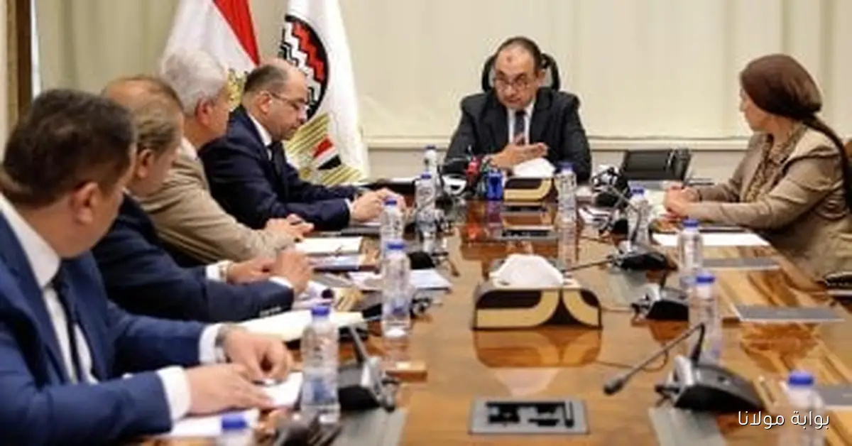 وزير قطاع الأعمال يلتقي بمجلس “النصر للإسكان والتعمير” ويحث على تسريع تنفيذ المشروعات