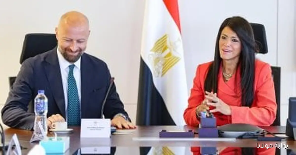 وزيرة التخطيط تكشف عن استثمارات سكاتك في الطاقة بقيمة 3.6 مليار دولار ضمن برنامج نُوَفِّى