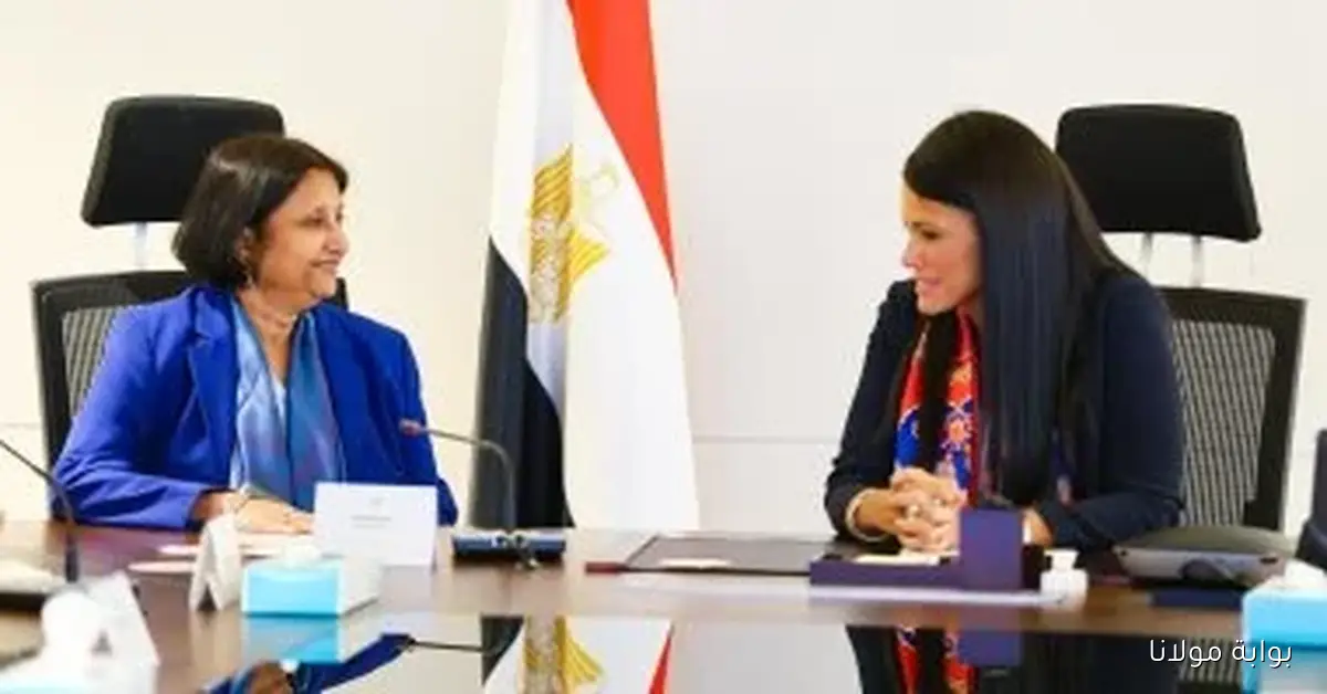 وزيرة التخطيط تلتقي المدير المنتدب لمجموعة البنك الدولي لبحث سبل تعزيز التعاون المشترك