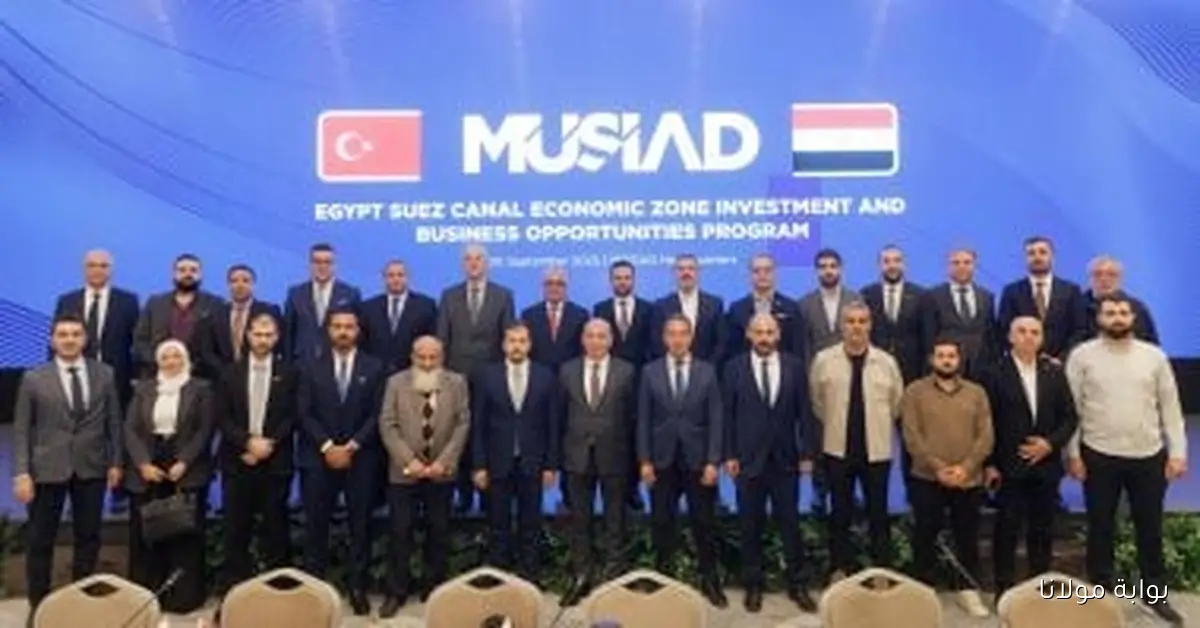 وليد جمال الدين يؤكد أهمية المنطقة الاقتصادية كشريك استراتيجي لمجتمع الأعمال التركي