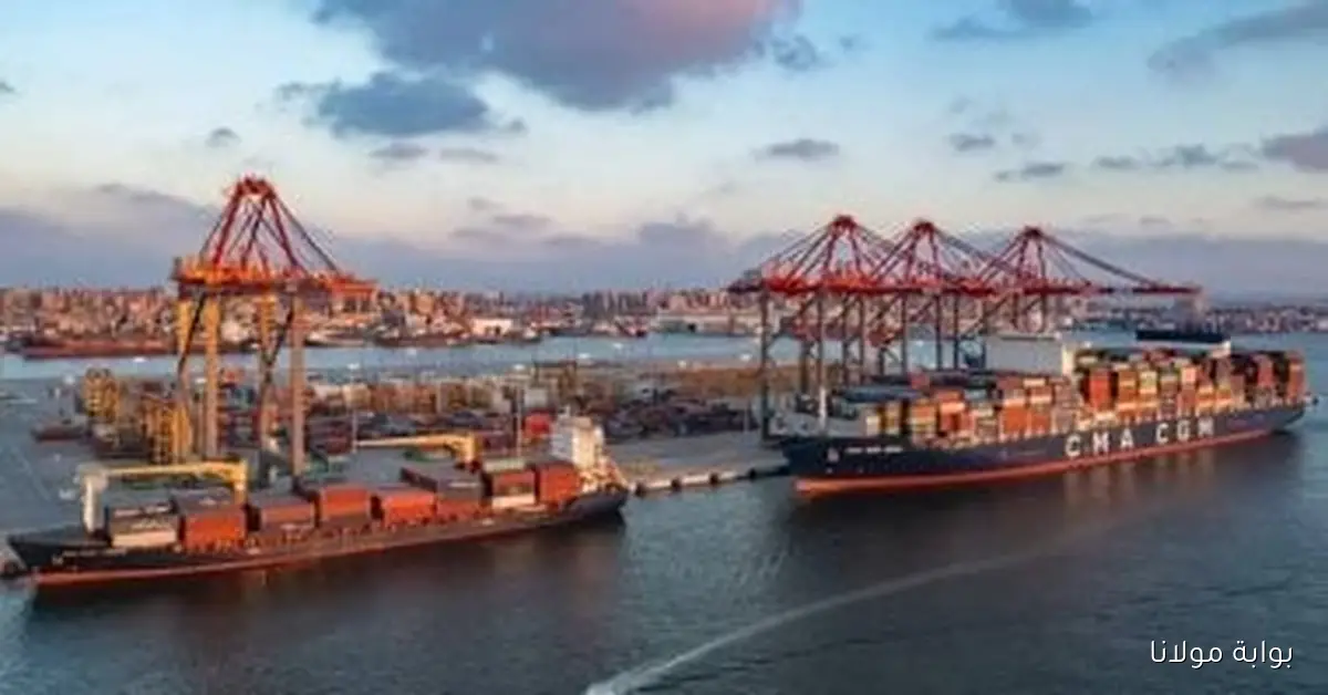 11 شركة حكومية تحقق إيرادات تتجاوز 50 مليار جنيه في العام المالي 2024/2025