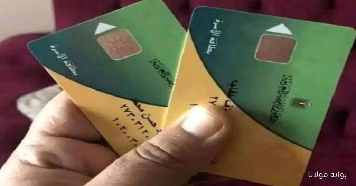 رابط وخطوات إضافة المواليد على بطاقة التموين 2025 في مصر