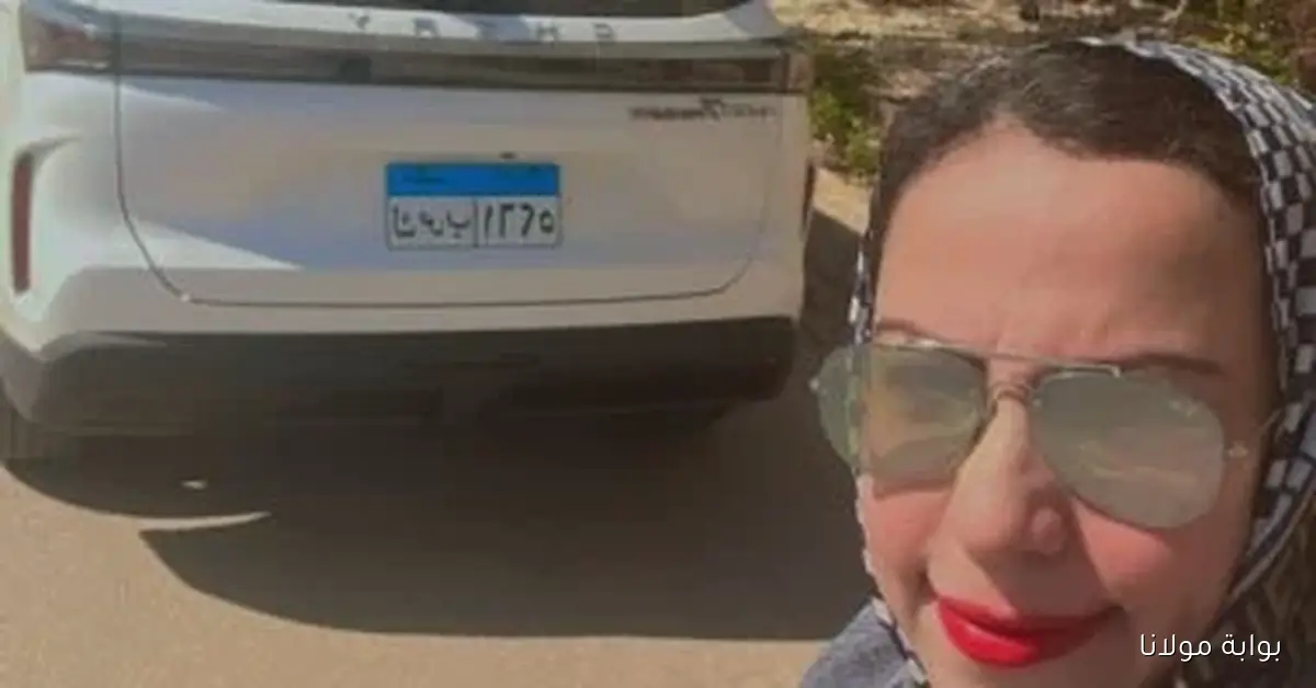 اكتشف سعر ومواصفات سيارة تيجو 7 برو ماكس في مصر