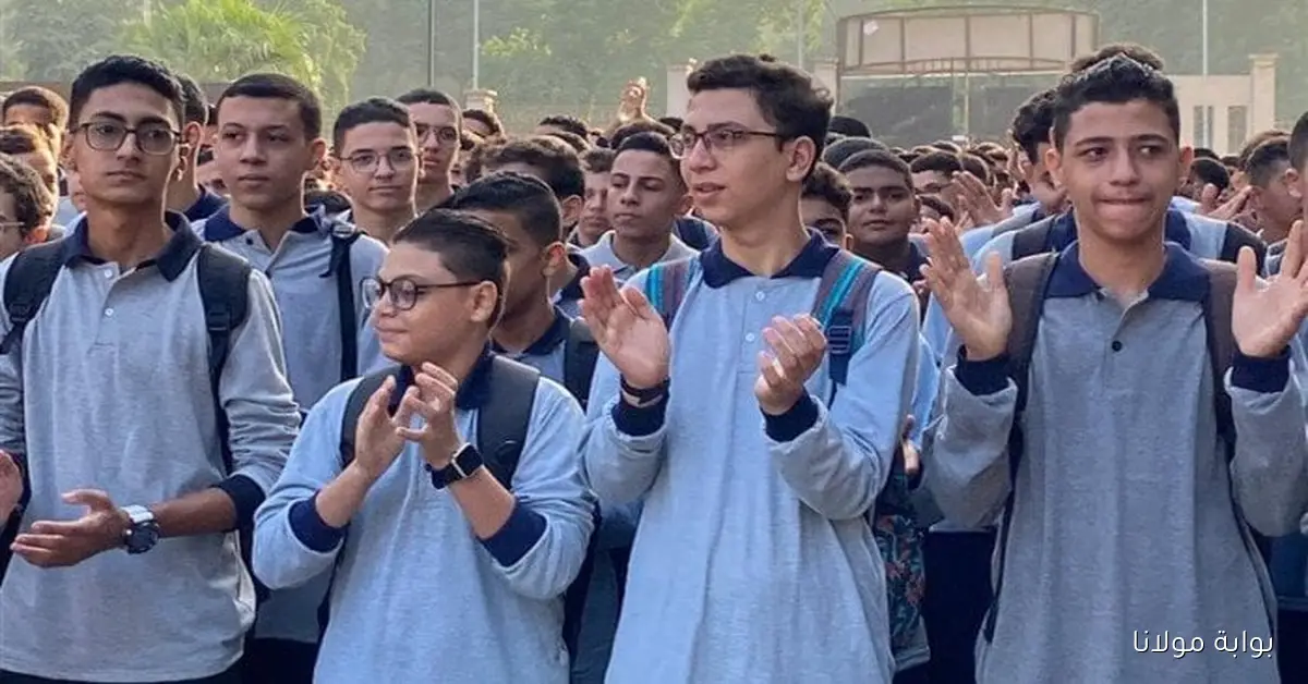 رابط تحميل التقييمات الأسبوعية 2026 وخطوات التنفيذ عبر الموقع الرسمي