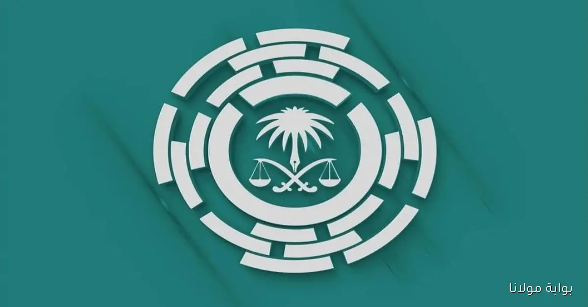 النيابة العامة تضمن أمان المبلّغين والشهود وتعزز حماية حقوقهم