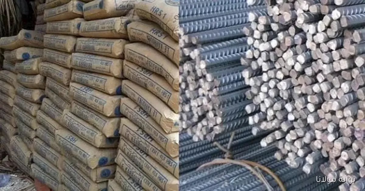 سعر طن حديد عز.. أسعار مواد البناء اليوم في الأسواق مع ارتفاع أسعار الحديد