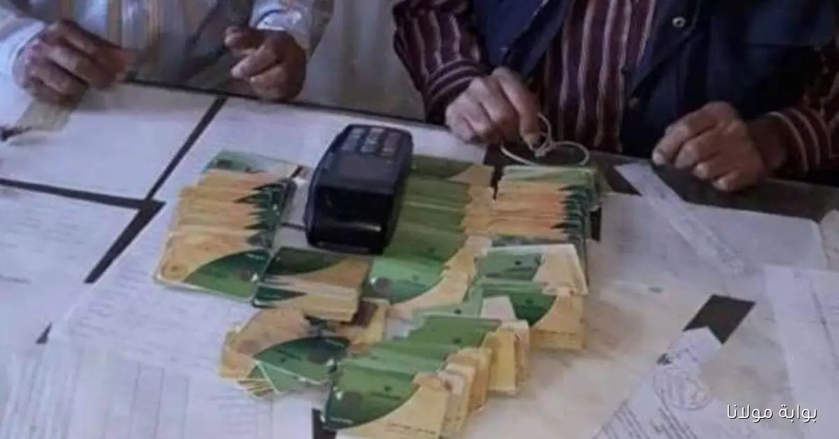 كيفية إضافة المواليد الجدد إلى بطاقة التموين 2025 بسهولة من خلال منصة مصر الرقمية