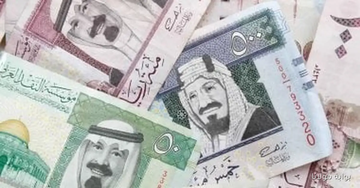 تحديث أسعار الريال السعودي مقابل الجنيه اليوم الأربعاء 8 أكتوبر 2025