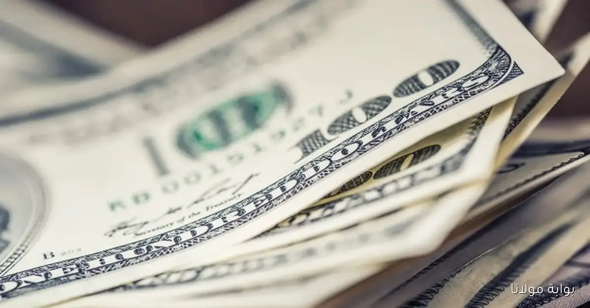 أسعار الدولار اليوم 12 أكتوبر 2025 وكيف تؤثر على السوق