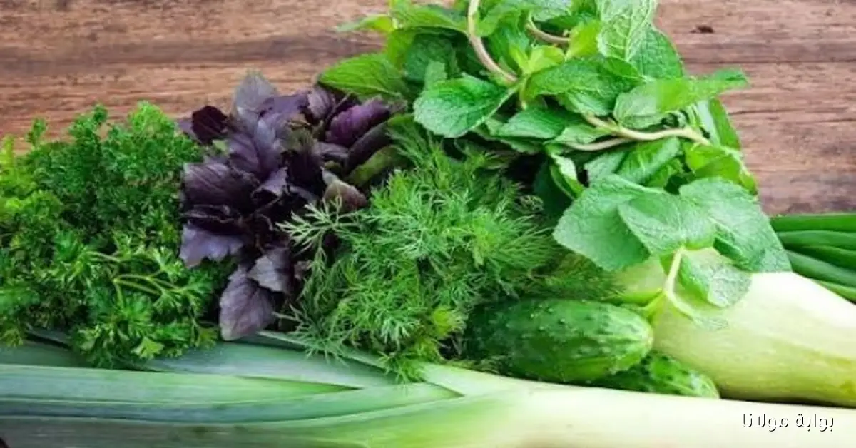 استقرار ملحوظ في أسعار الخضروات والفاكهة بسوق العبور اليوم