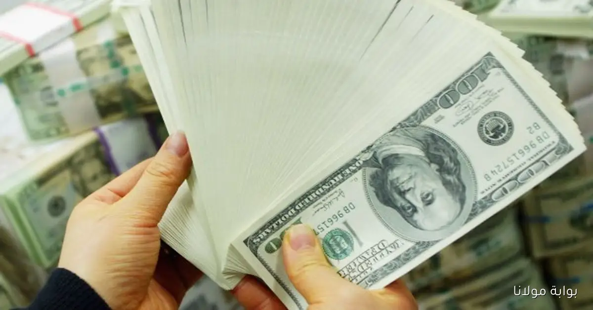 «الأسعار بتكشف أسرار جديدة».. الدولار يسجل ارتفاعًا ملحوظًا أمام الجنيه في البنوك اليوم 25-10-2025