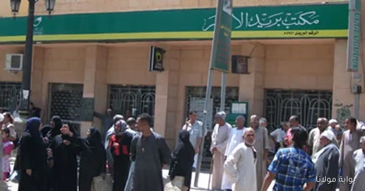 200 مليار جنيه إجمالي المعاشات الموزعة من المكاتب البريدية في عام 24/23