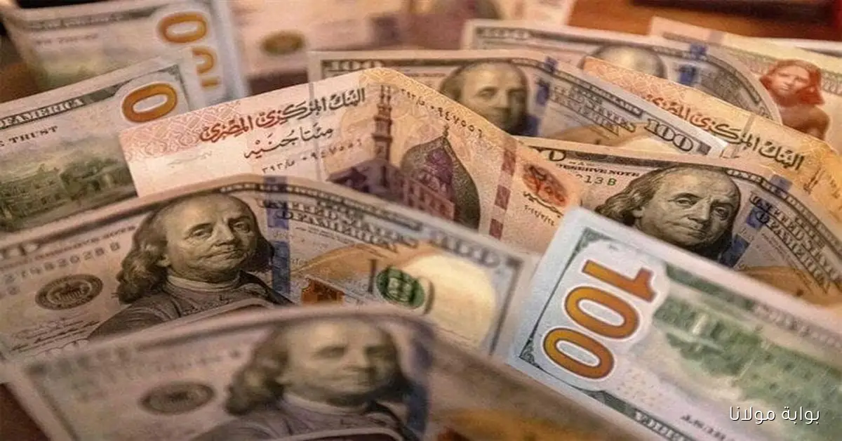 آخر تحديث لـ سعر الدولار في مصر اليوم السبت 4 أكتوبر 2025 أمام الجنيه