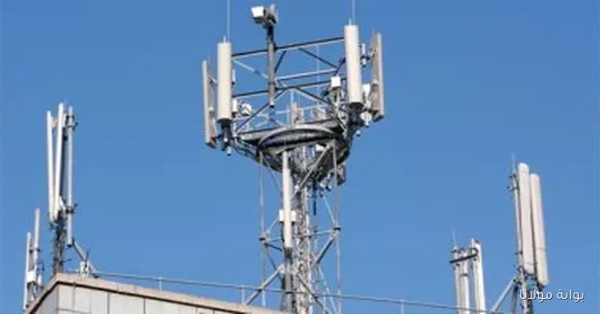 أداء شركات المحمول في النصف الأول من العام: شكاوى ومقارنات تكشف المستور